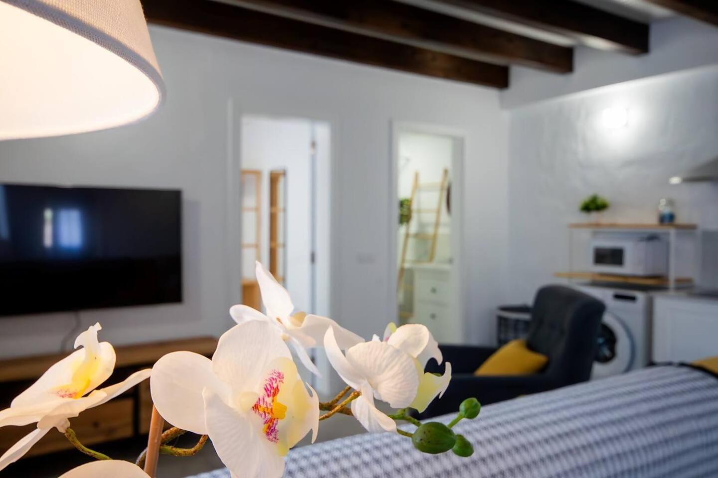 Apartamentos Marmolejos Gáldar 객실 사진