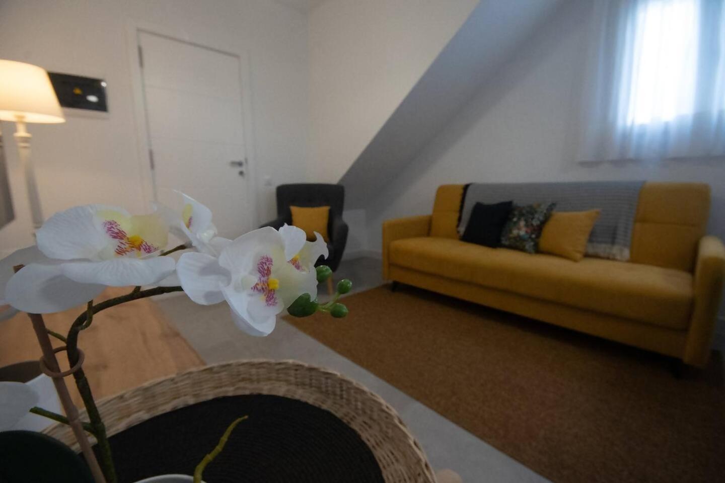 Apartamentos Marmolejos Gáldar 객실 사진